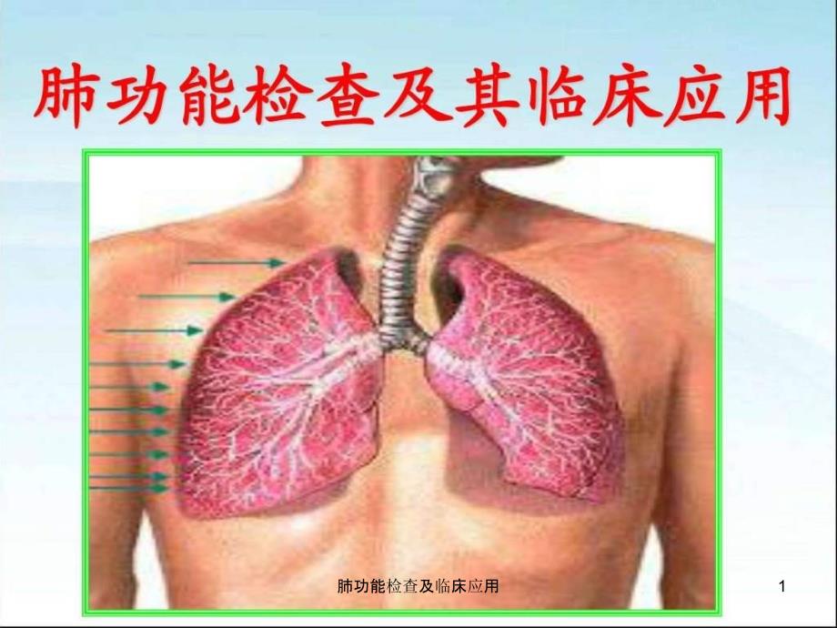 肺功能检查及临床应用ppt课件_第1页