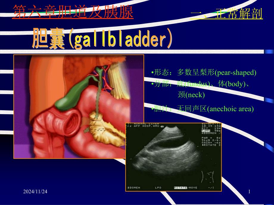 超声诊断学胆道及胰腺课件_第1页