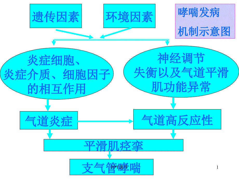 作用于呼吸系统药-课件_第1页