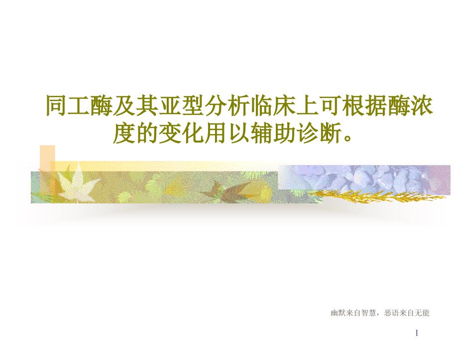 同工酶及其亚型分析临床上可根据酶浓度的变化用以辅助诊断课件_第1页