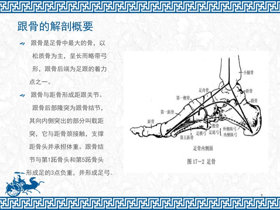 跟骨骨折的护理授课课件_第1页