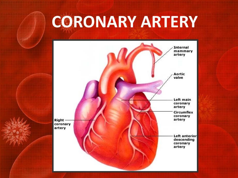 【高血压英文课件】CORONARYARTERY_第1页