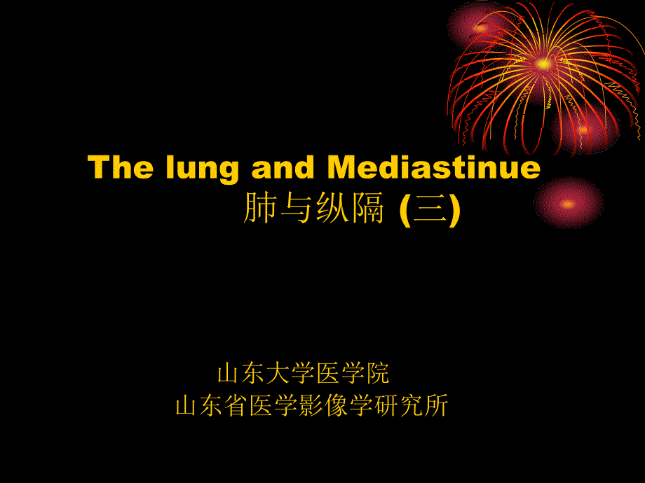 医学影像诊断学11肺与纵隔(三)课件_第1页