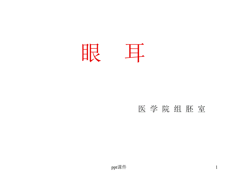 《组织学与胚胎学》眼球眼睑内耳--课件_第1页