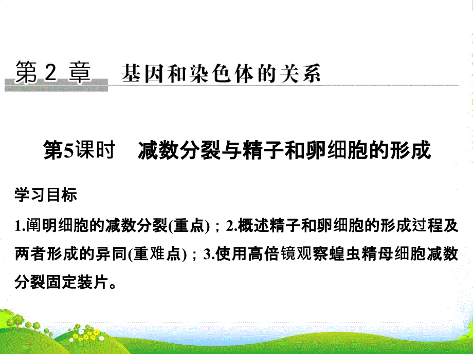 同步备课一体之生物人教必修2ppt课件：第二章-基因与染色体的关系-第5课时_第1页