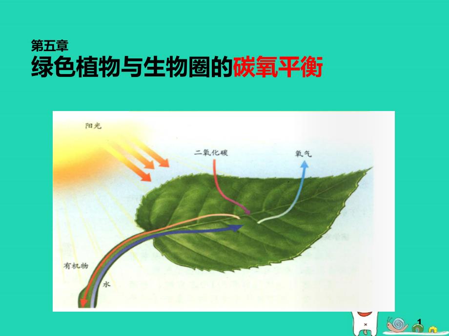 人教版新课程标准《绿色植物与生物圈中的碳—氧平衡》ppt课件_第1页