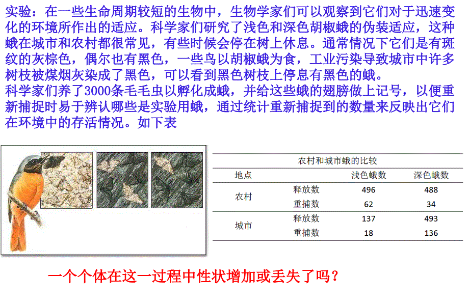 《种群基因组成的变化与物种的形成》ppt课件-人教版_第1页