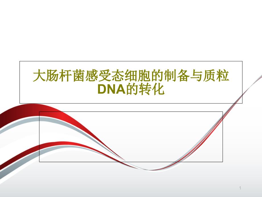 大肠杆菌感受态细胞的制备与质粒DNA的转化 ppt课件_第1页