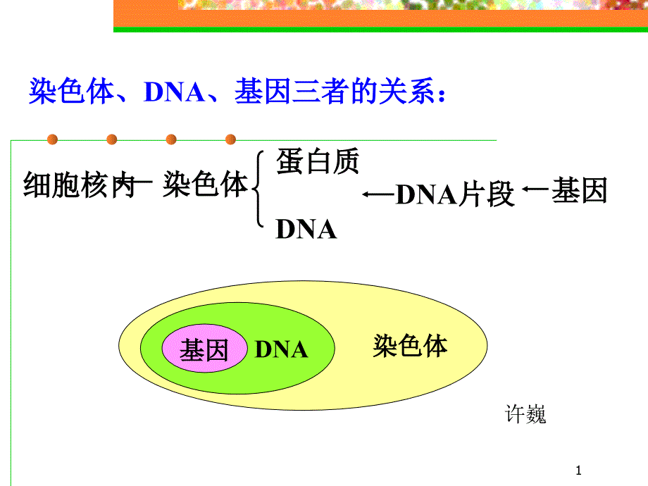 人的性状和遗传ppt-苏教版课件_第1页