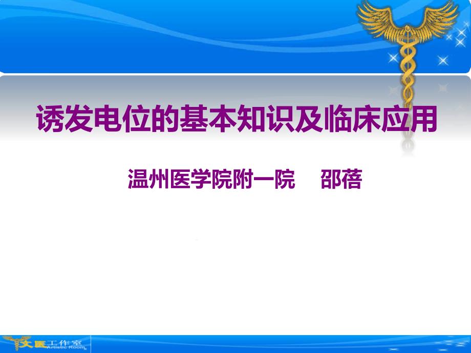 诱发电位的基本知识及临床应用课件_第1页