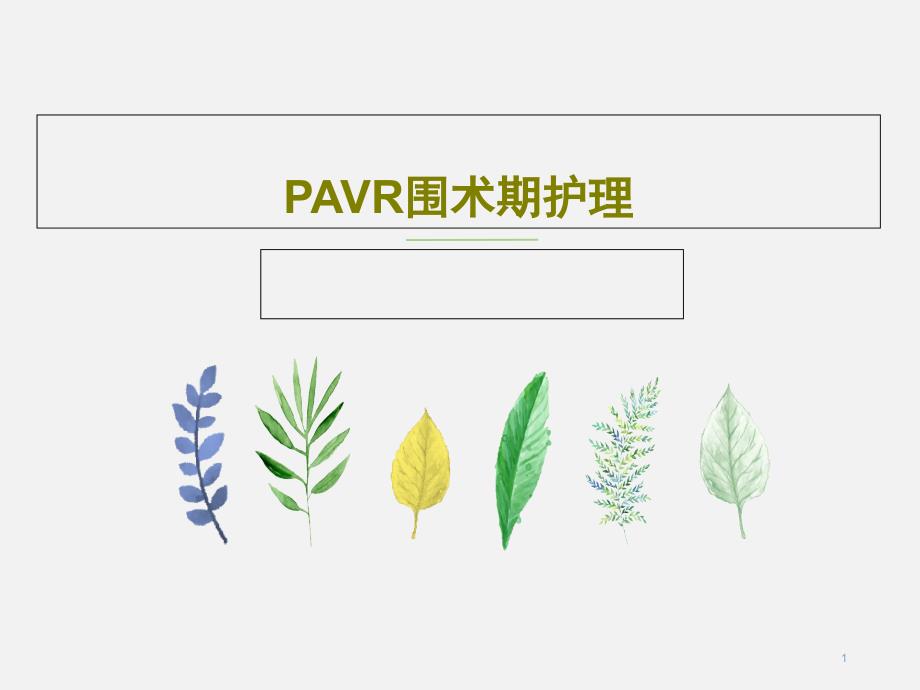 PAVR围术期护理课件_第1页