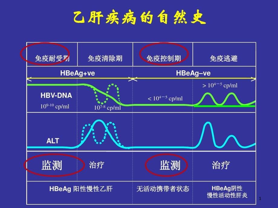 慢性乙肝疾病进展的评价指标及治疗策略课件_第1页