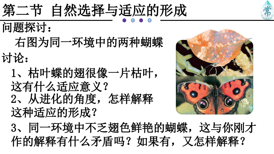 《自然选择与适应的形成》PPT人教版课件_第1页