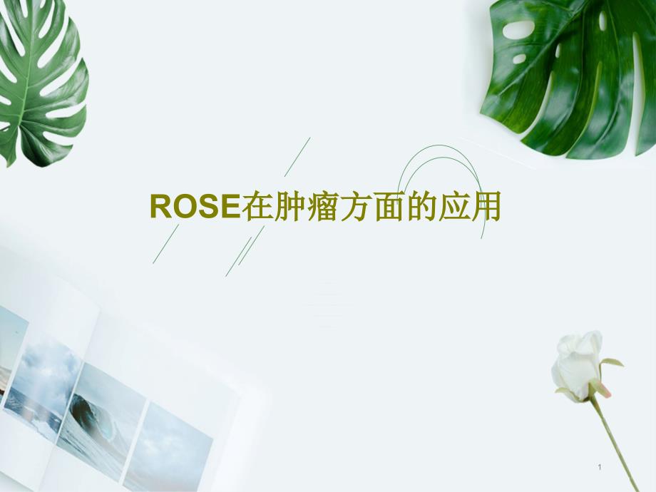 ROSE在肿瘤方面的应用课件_第1页