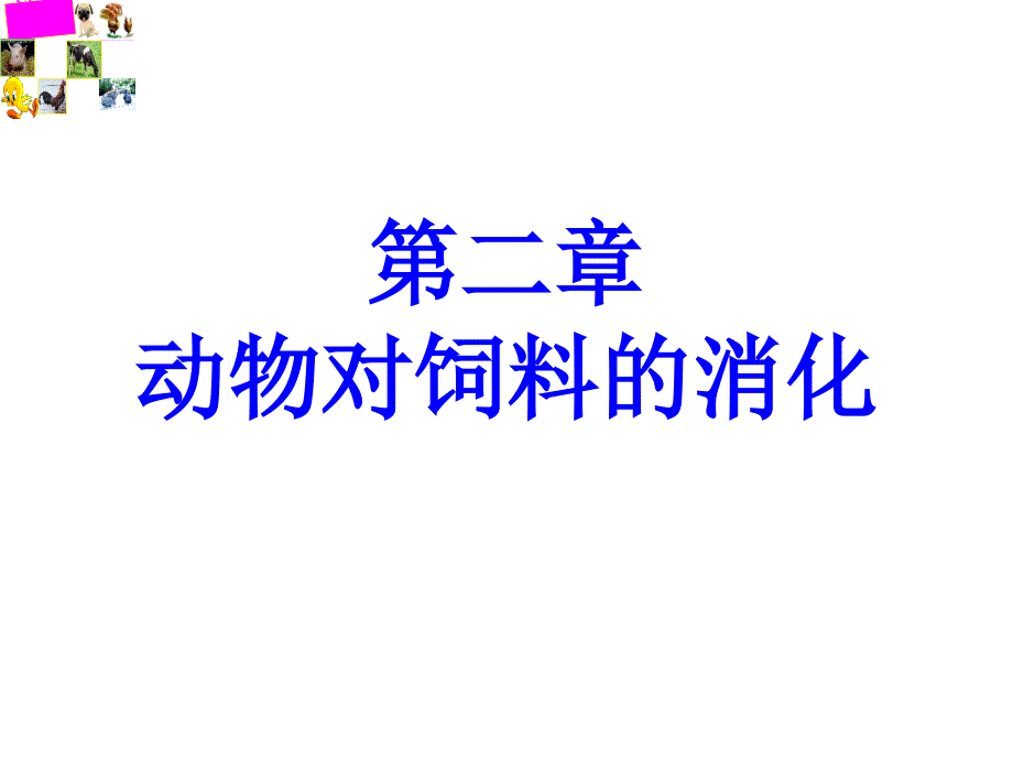 动物对饲料的消化分析课件_第1页