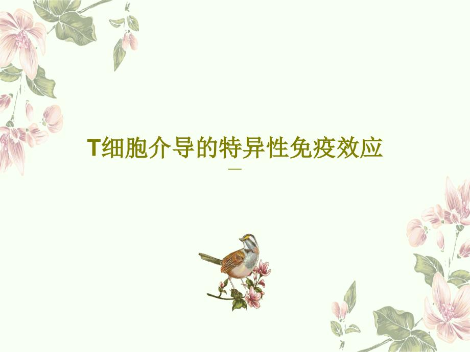 T细胞介导的特异性免疫效应 ppt课件_第1页