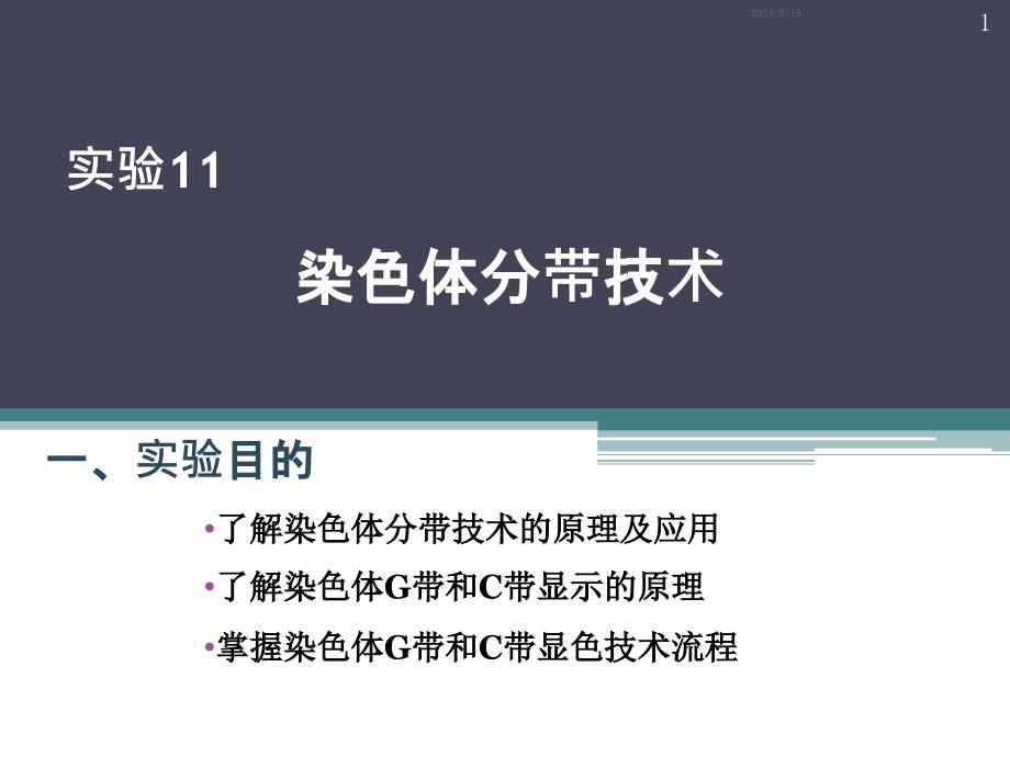 实验11染色体分带技术课件_第1页