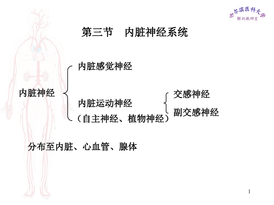 第三节内脏神经系统课件_第1页