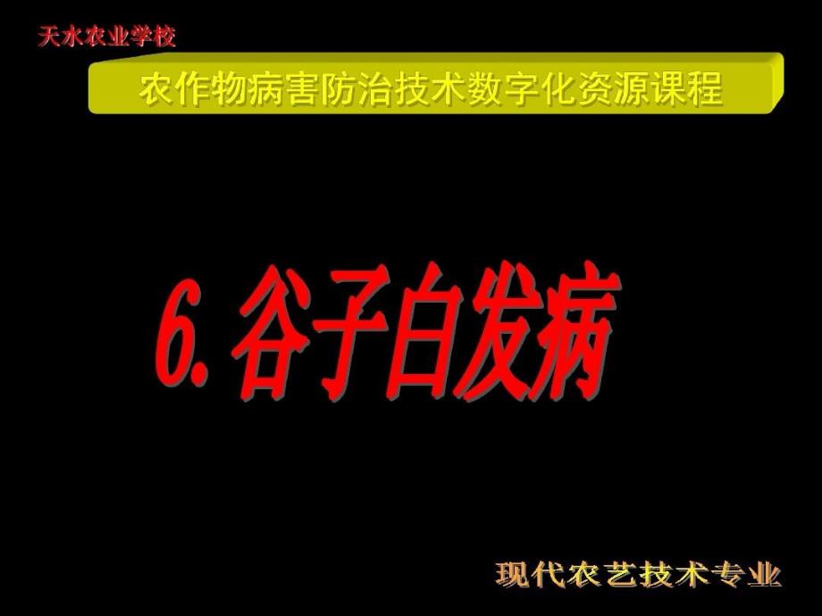 谷子白发病是幼苗侵染课件_第1页