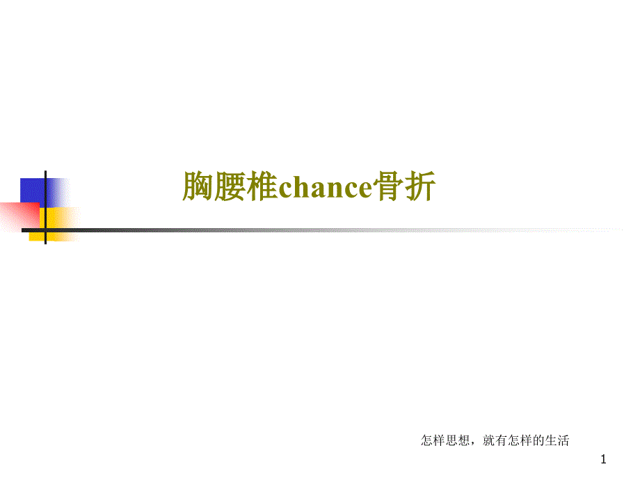 胸腰椎chance骨折课件_第1页