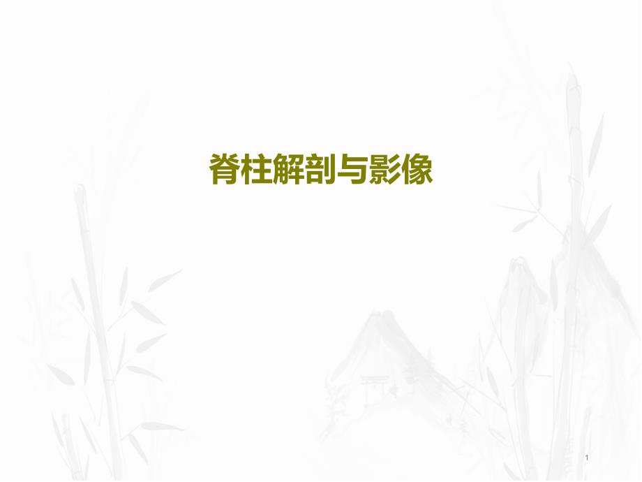 脊柱解剖与影像课件_第1页