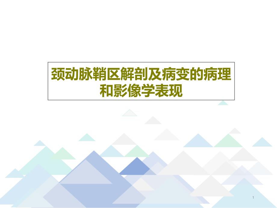 颈动脉鞘区解剖及病变的病理和影像学表现课件_第1页