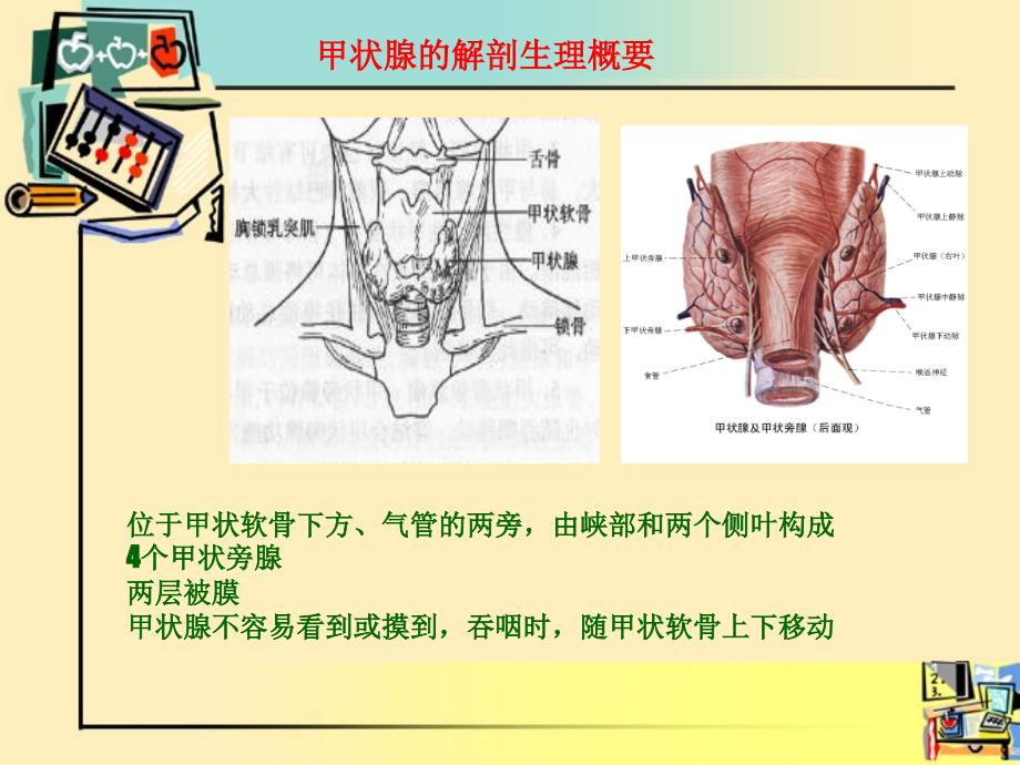 甲状腺围手术期的护理ppt课件_第1页