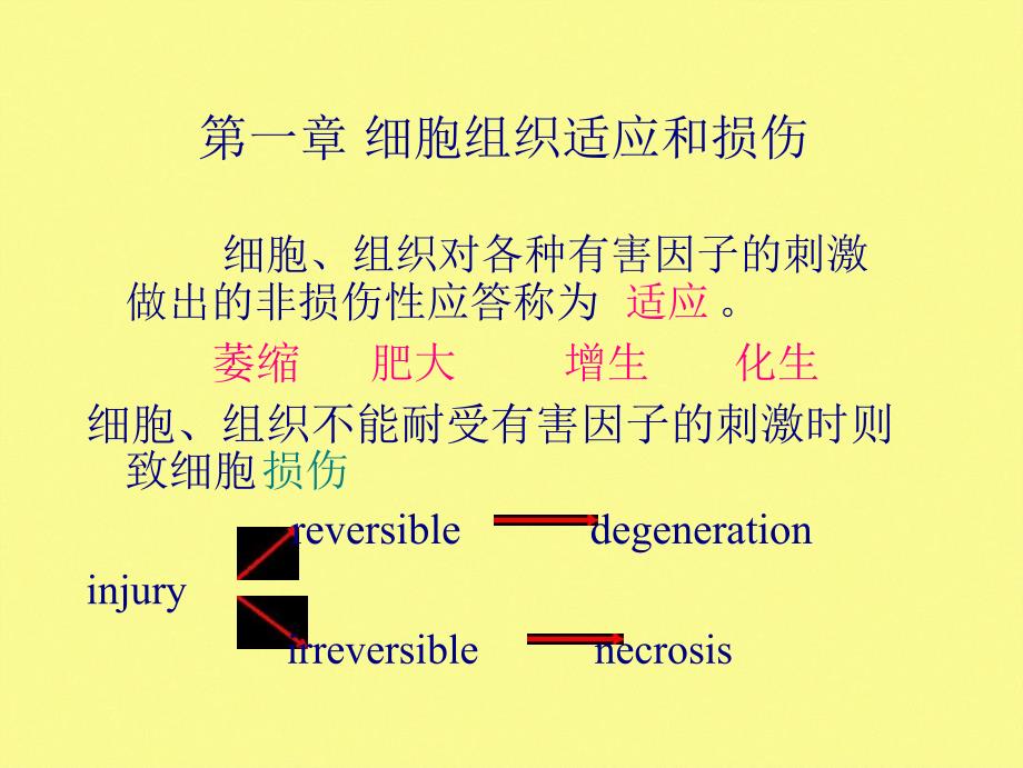 病理学第一章第一二节细胞和组织的适应和损伤课件_第1页