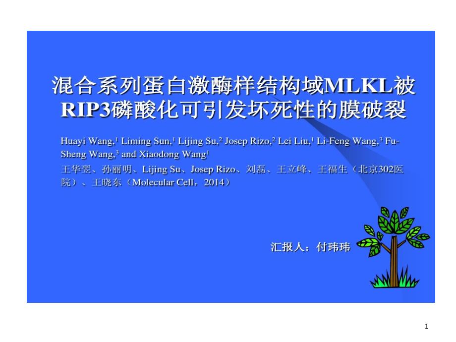 混合系列蛋白激酶样结构域MLKL通过磷酸化RIP3引发坏死性膜破裂课件_第1页