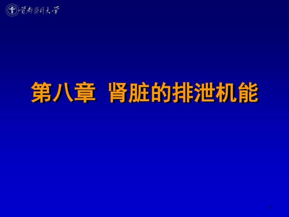 生理学肾脏功能演示教学课件_第1页