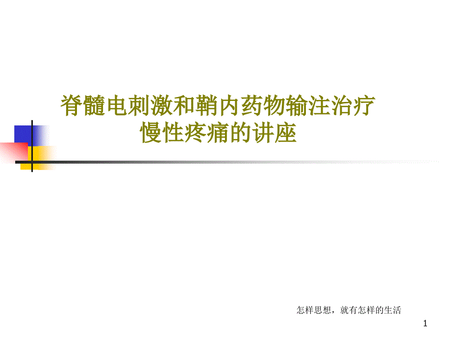 脊髓电刺激和鞘内药物输注治疗慢性疼痛的讲座课件_第1页