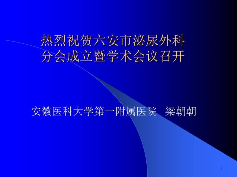 泌尿系结石的治疗详解课件_第1页