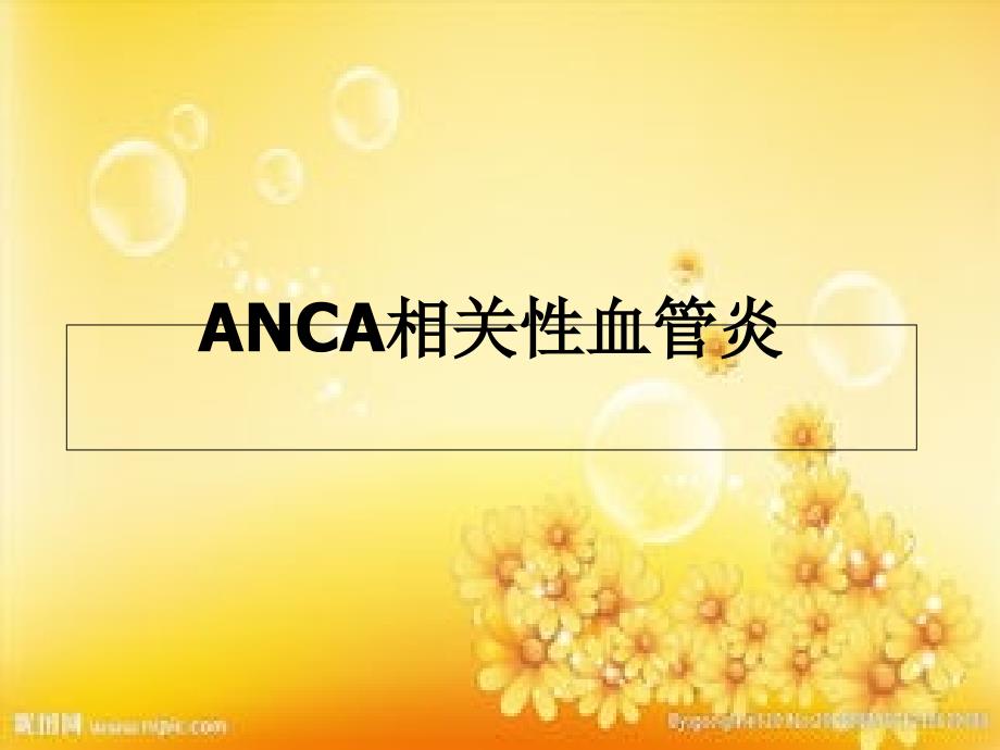 ANCA相关性血管炎课件_第1页