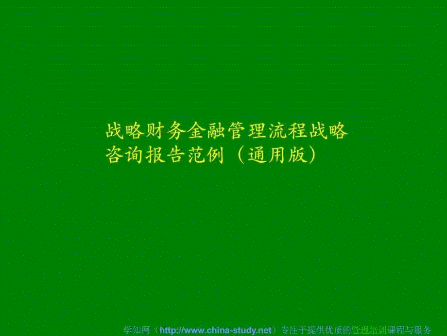 战略财务金融管理流程战略咨询报告范例(通用版)_第1页