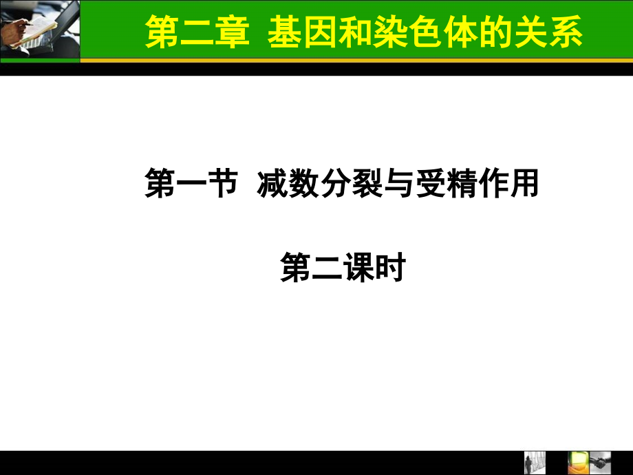 减数分裂和受精作用（第二课时）课件_第1页