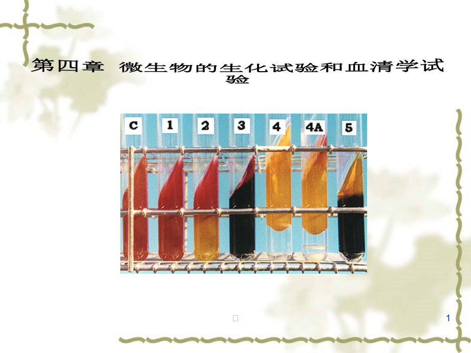 2020年第四章微生物的生化试验和血清学试验-第四章微生物的生化试参照模板课件_第1页