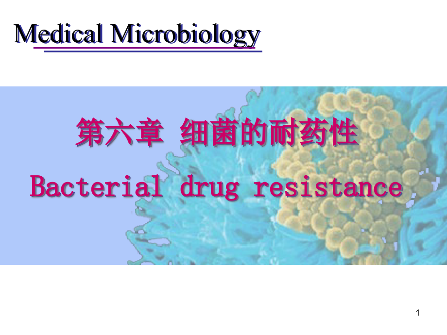 细菌的耐药性课件_第1页