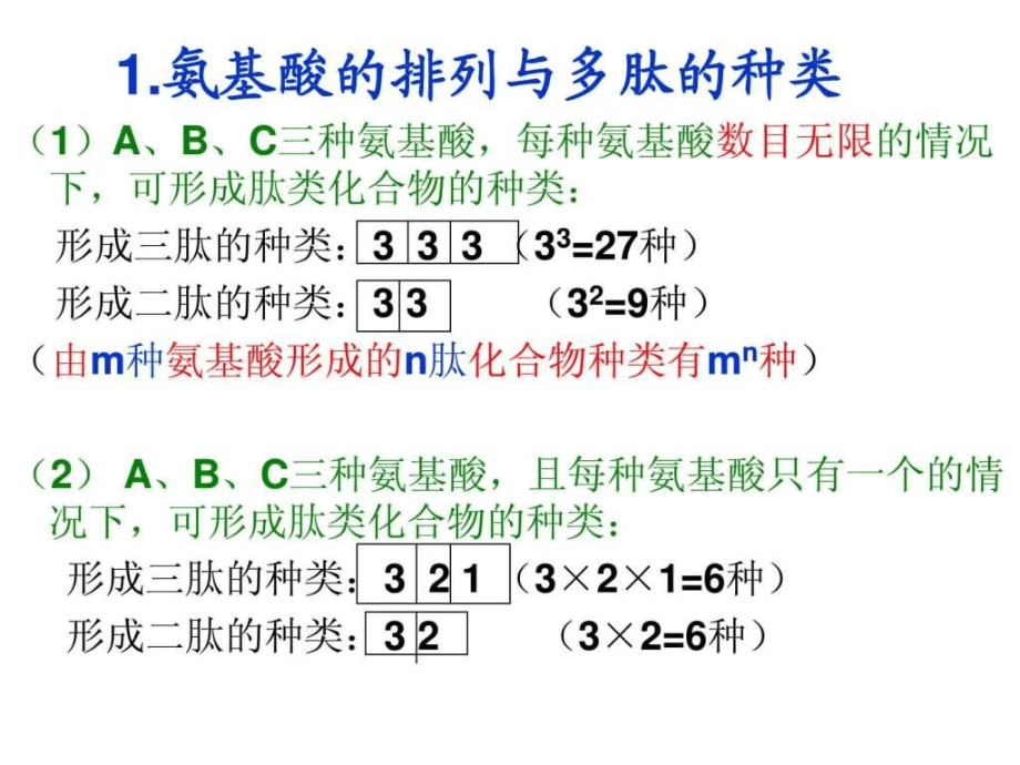 高中生物必修一蛋白质的计算课件_第1页