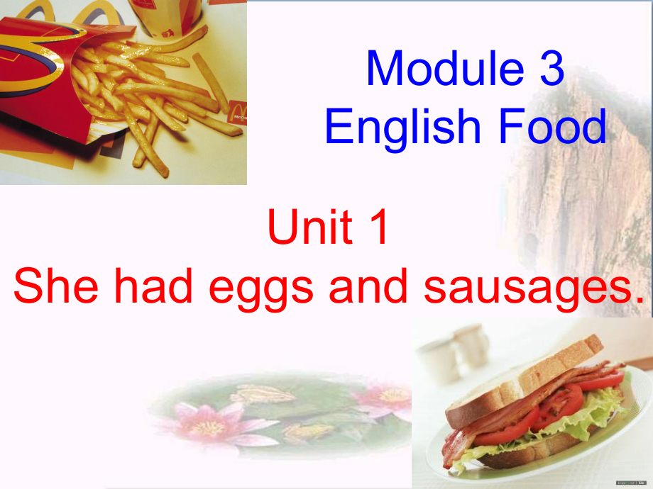 五年级英语下册Module3Unit1《Shehadeggsandsausages》-ppt课件(新版)外研版(三起)_第1页