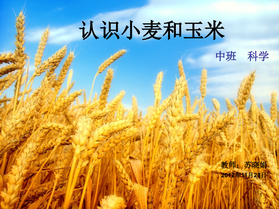 中班社会认识食物课件_第1页