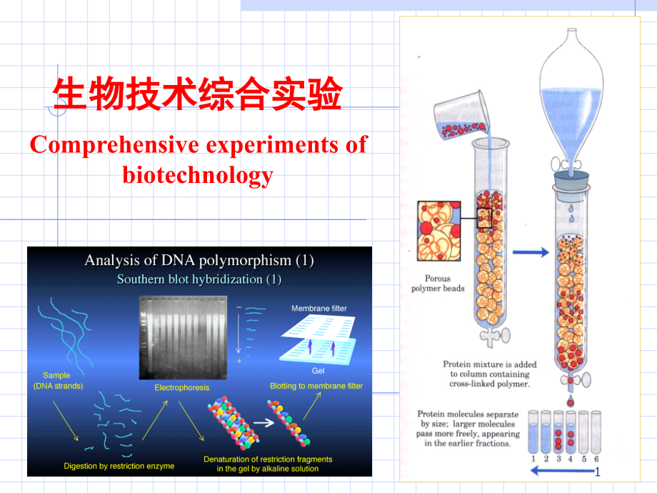 七外源基因的克隆与表达课件_第1页