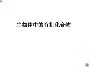 滬科版生命科學高一上2-2《生物體中的有機化合物》課件