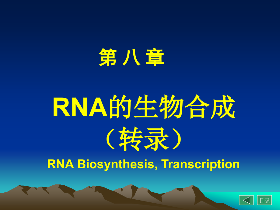 RNA的生物合成转录-生物化学与分子生物学课件_第1页