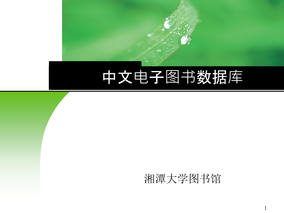 中文电子图书数据库检索介绍课件_第1页