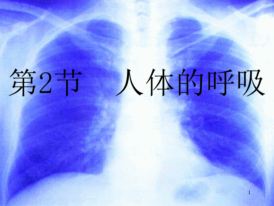 第2节人体的呼吸课件_第1页