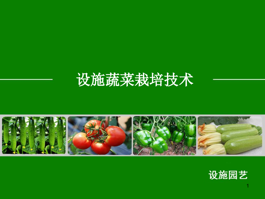 设施蔬菜栽培技术课件_第1页
