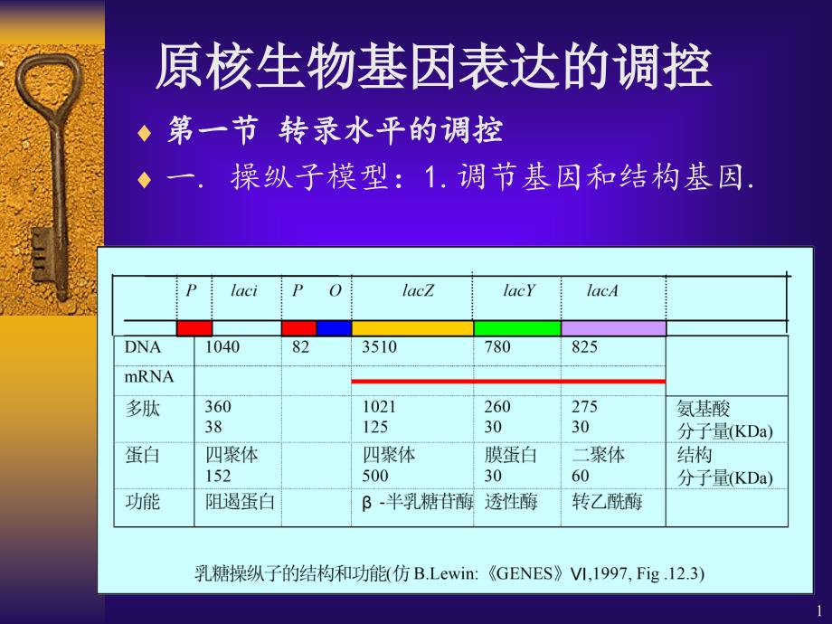 第十六章原核生物基因表达的调控课件_第1页