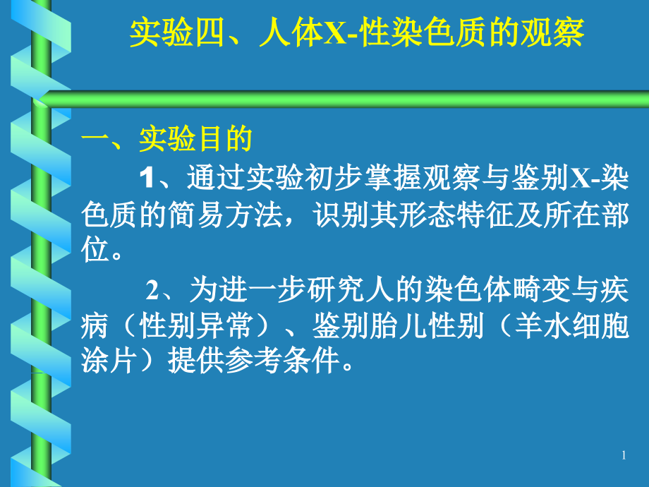 人体X-性染色质的观察一课件_第1页