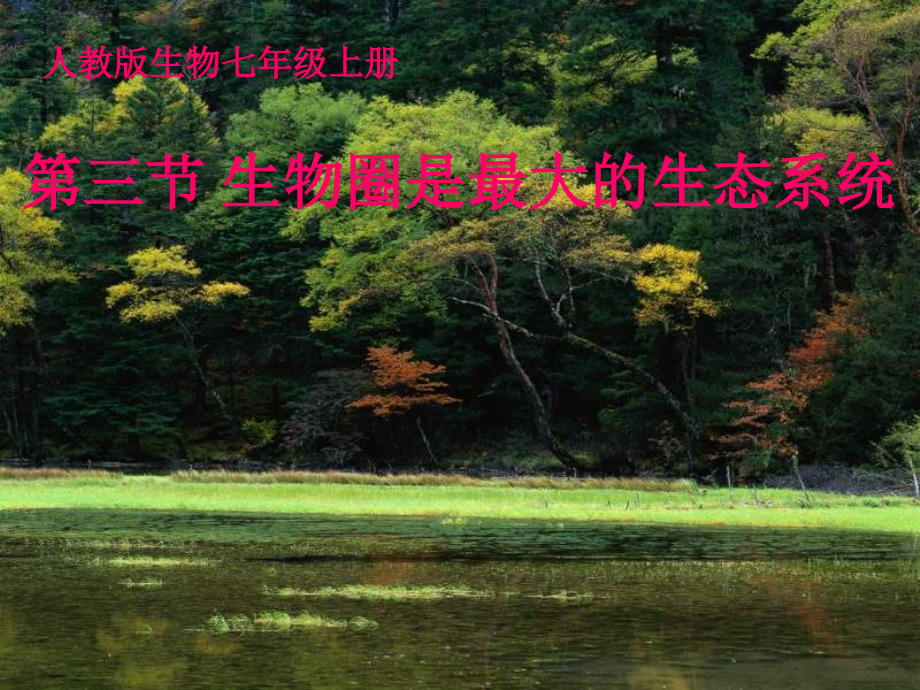 《第三节--生物圈是最大的生态系统》课件(湖北省县级优课)_第1页
