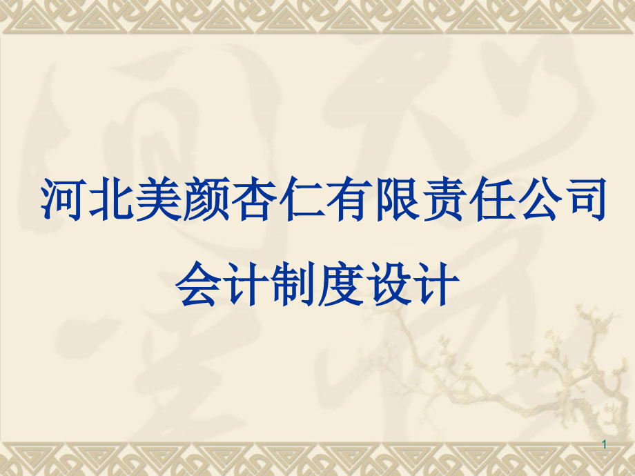 某公司会计制度设计案例课件_第1页